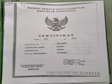 Member 2.webp