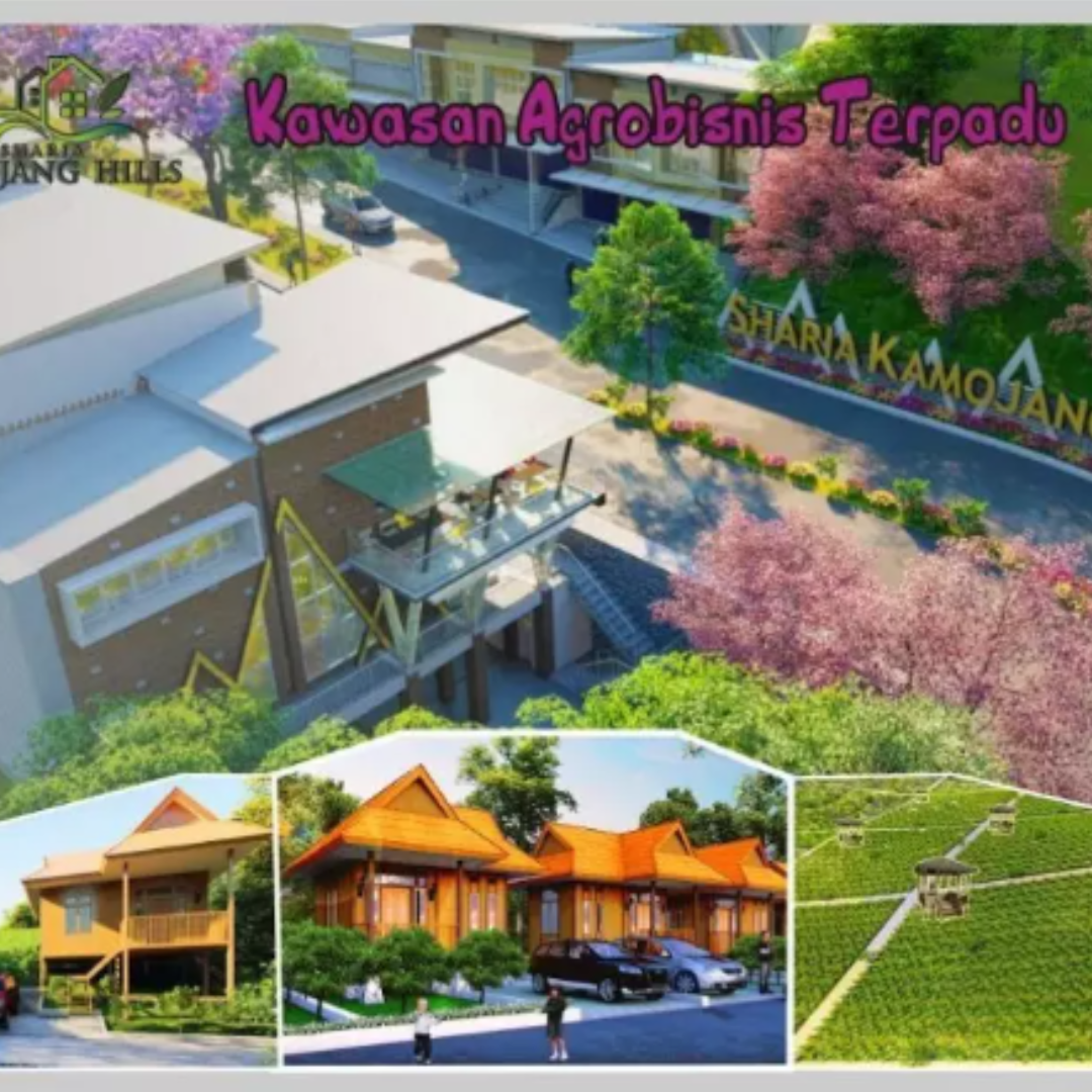 Untitled design (3).png