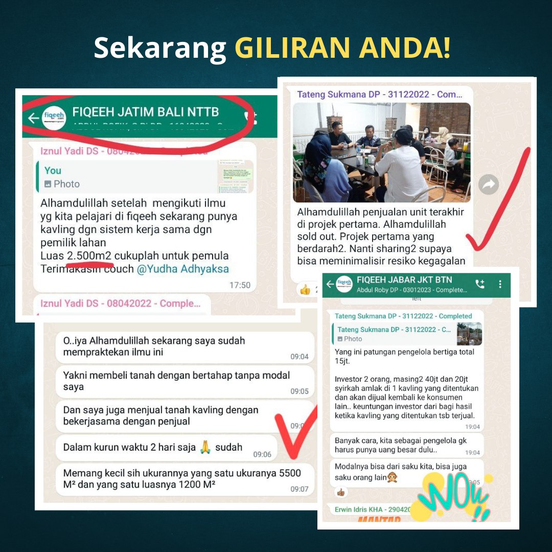 19.webp