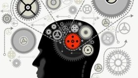 7 Aturan Berilmu Bisnis
